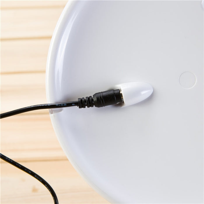 Creative Removable Fluorescent LED Desk Light Home Decor